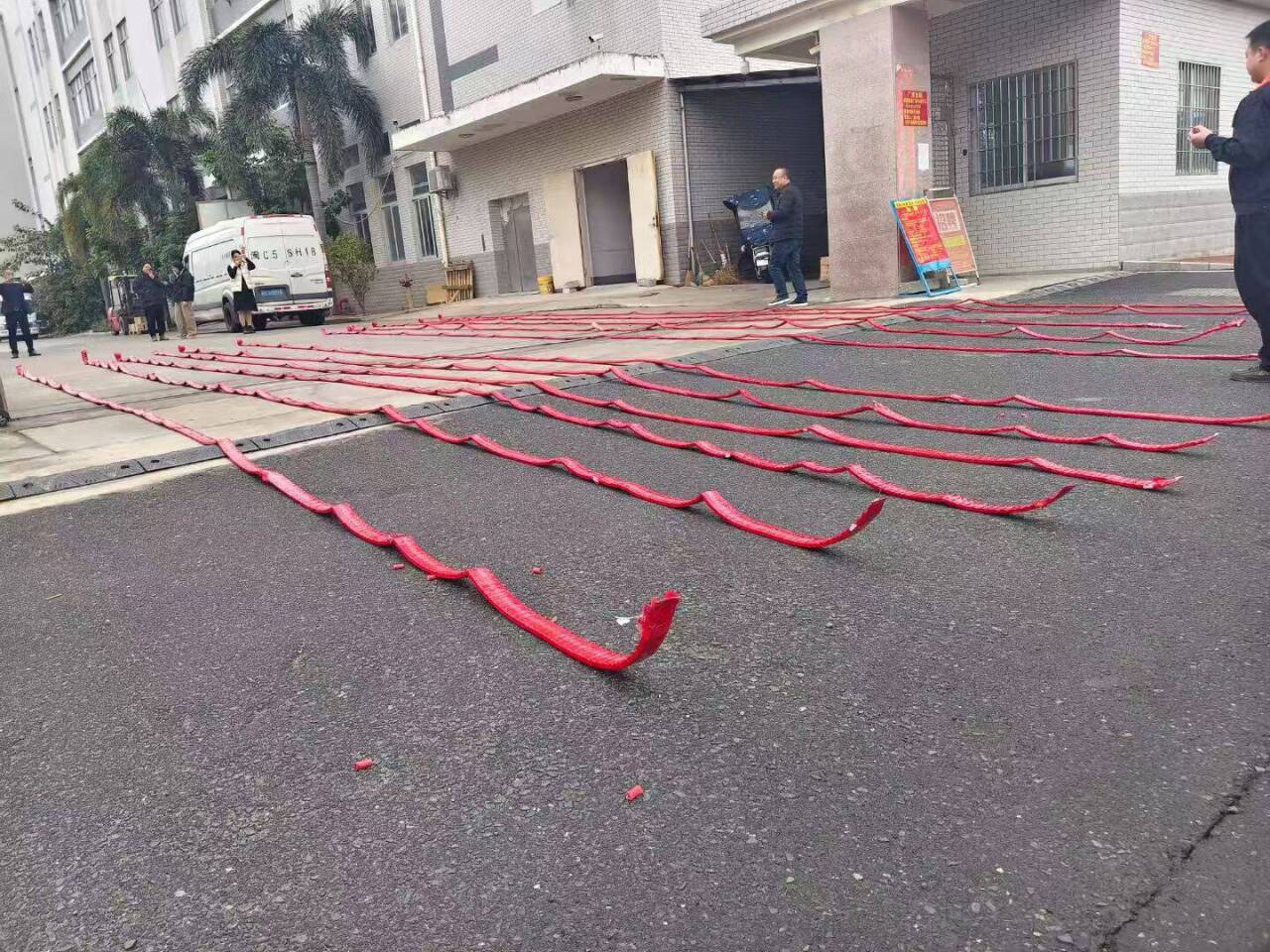 Endoscopic snake bone